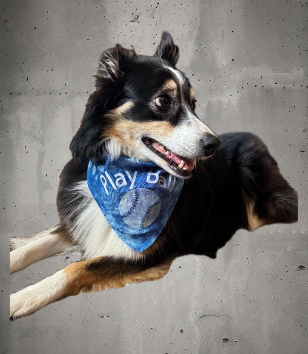 Custom Tie-On Dog Bandana - Personalized Pet Accessory
