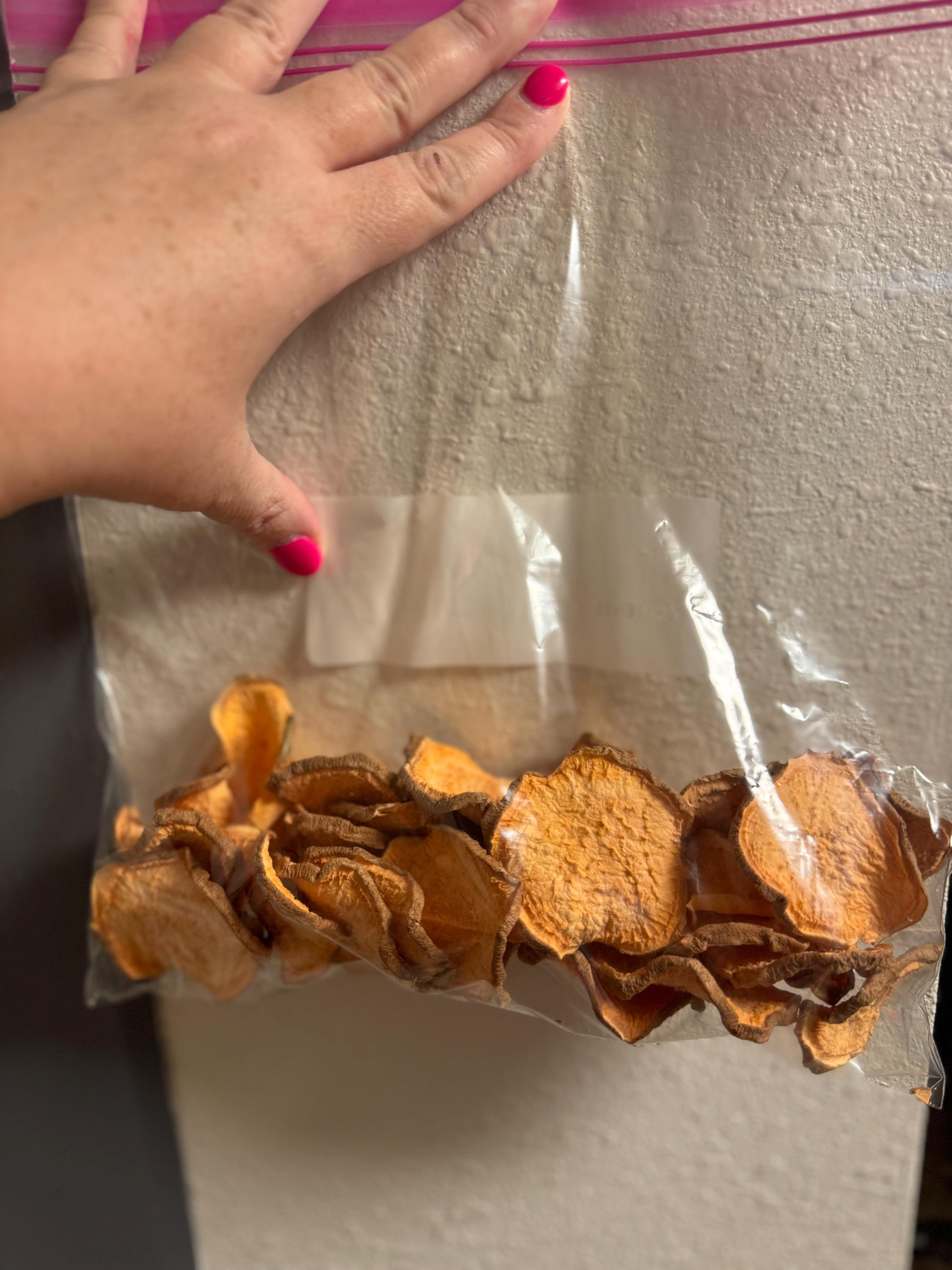 Sweet Potato Chips for Dogs