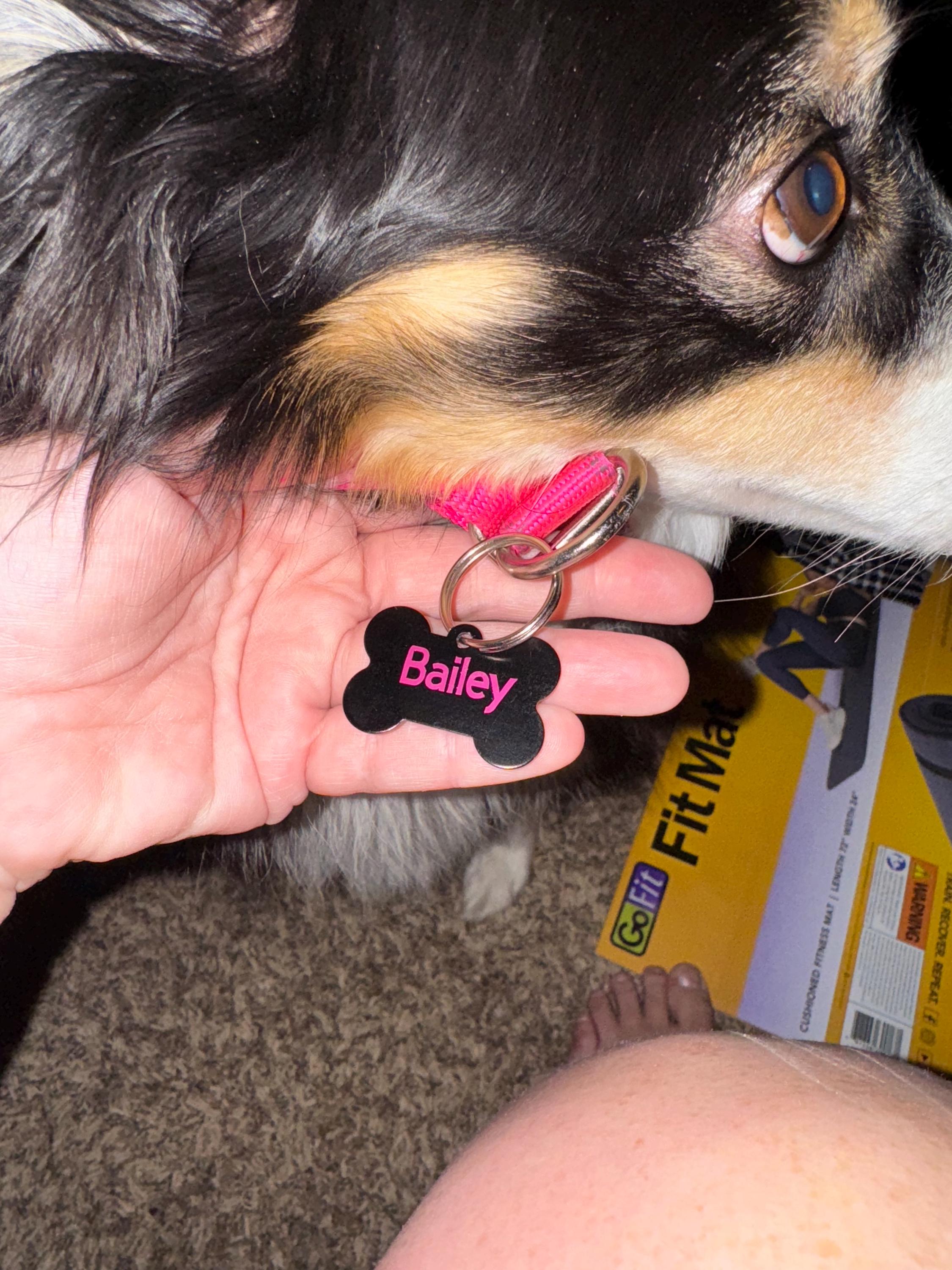 Custom Dog Tag - Personalized Aluminum Pet ID Tag