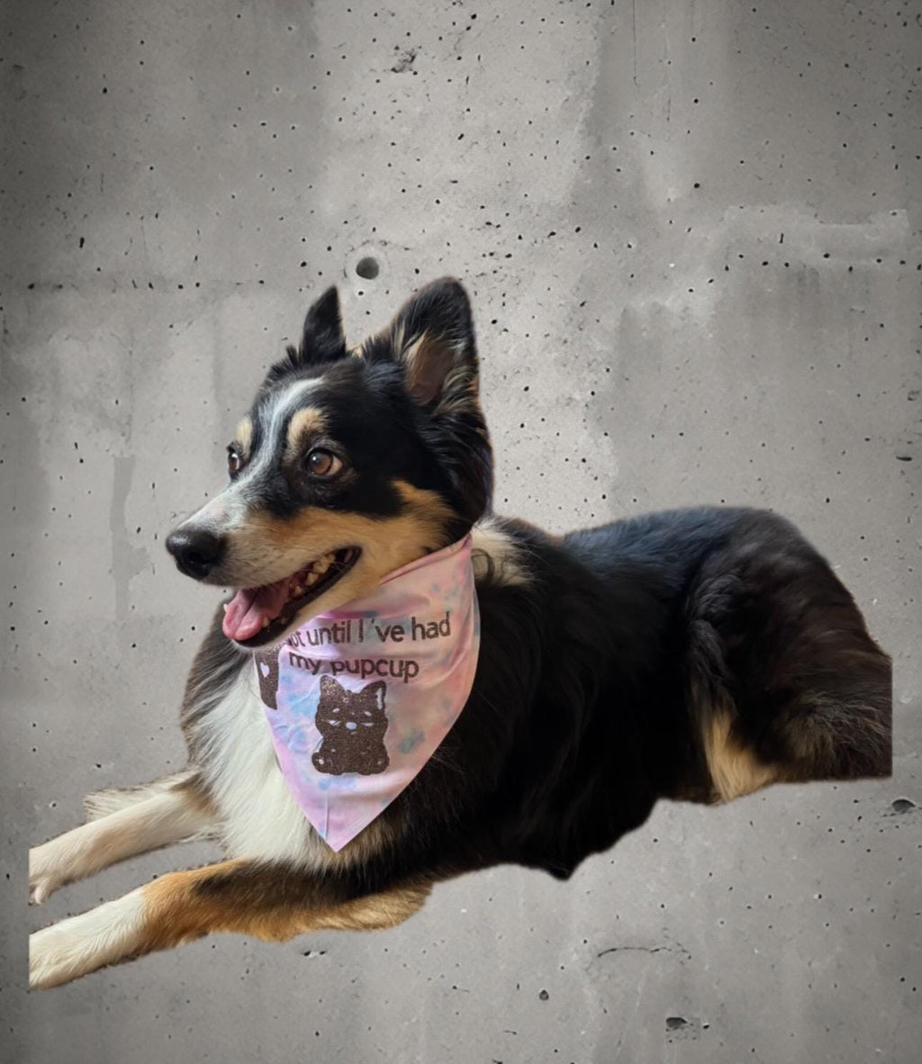 Custom Tie-On Dog Bandana - Personalized Pet Accessory