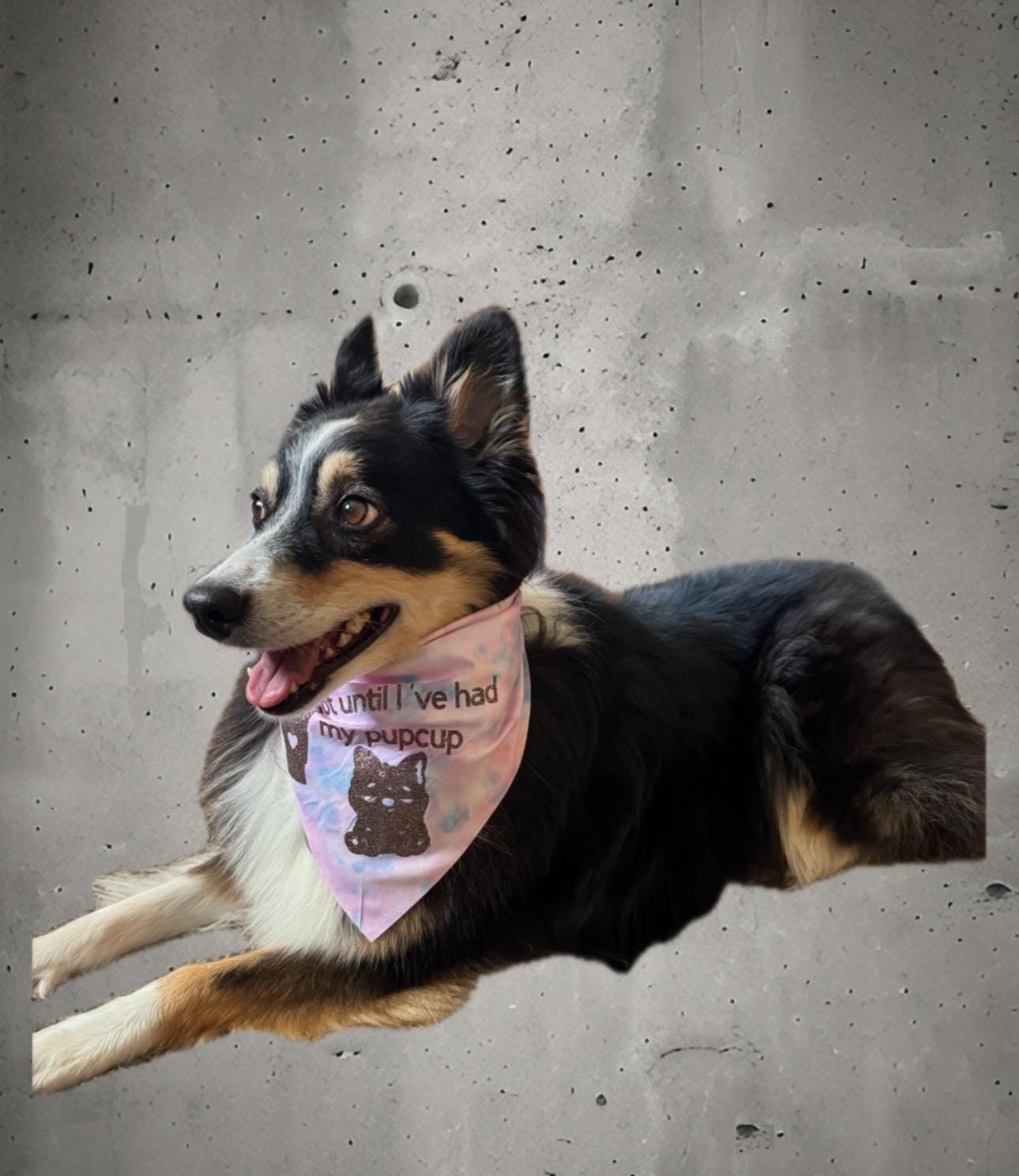 Custom Tie-On Dog Bandana - Personalized Pet Accessory