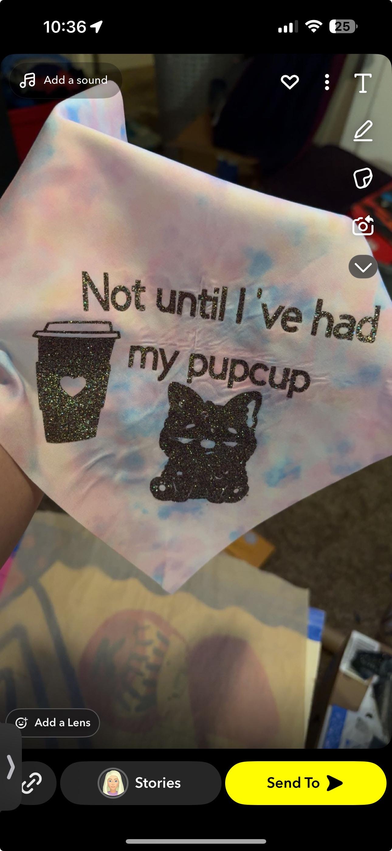 Custom Tie-On Dog Bandana - Personalized Pet Accessory
