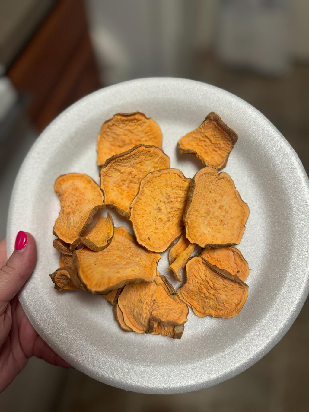 Sweet Potato Chips for Dogs