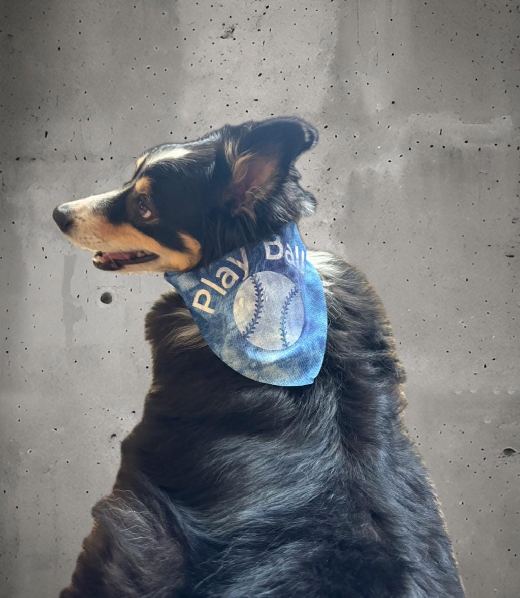 Custom Tie-On Dog Bandana - Personalized Pet Accessory
