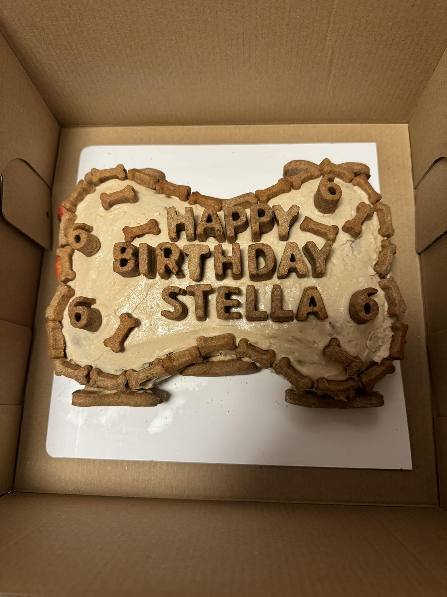 Bone Party Cake (7x10)