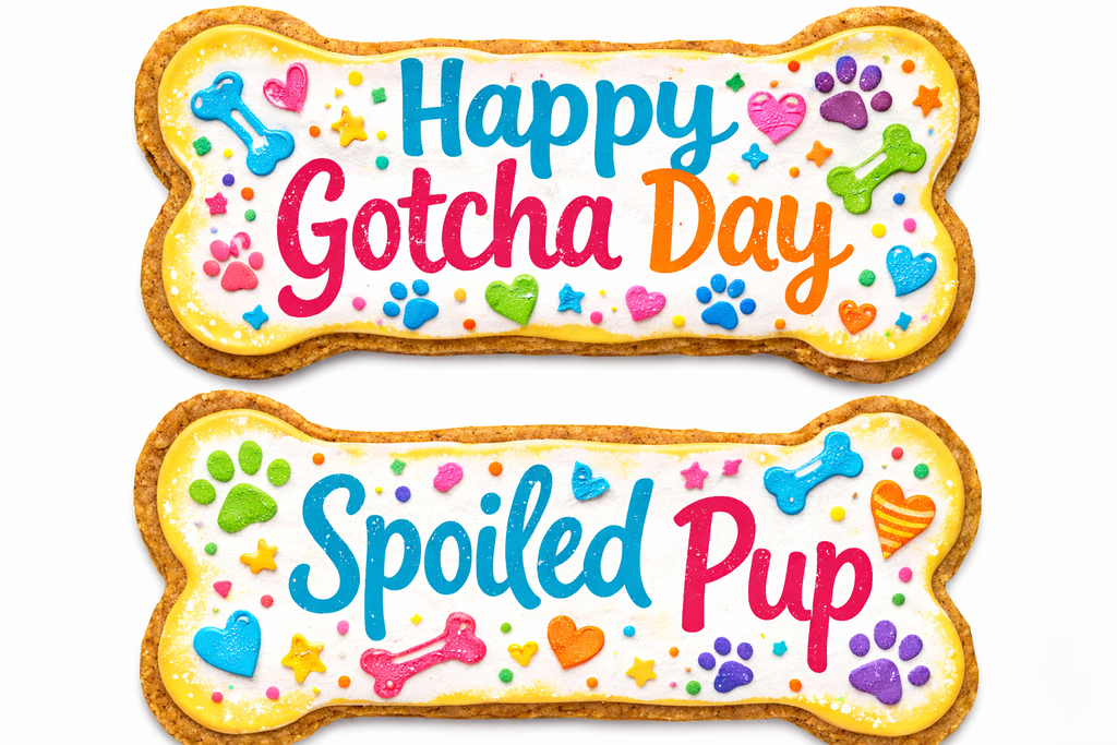 Jumbo Personalized Dog Bone Cookie (7x4)