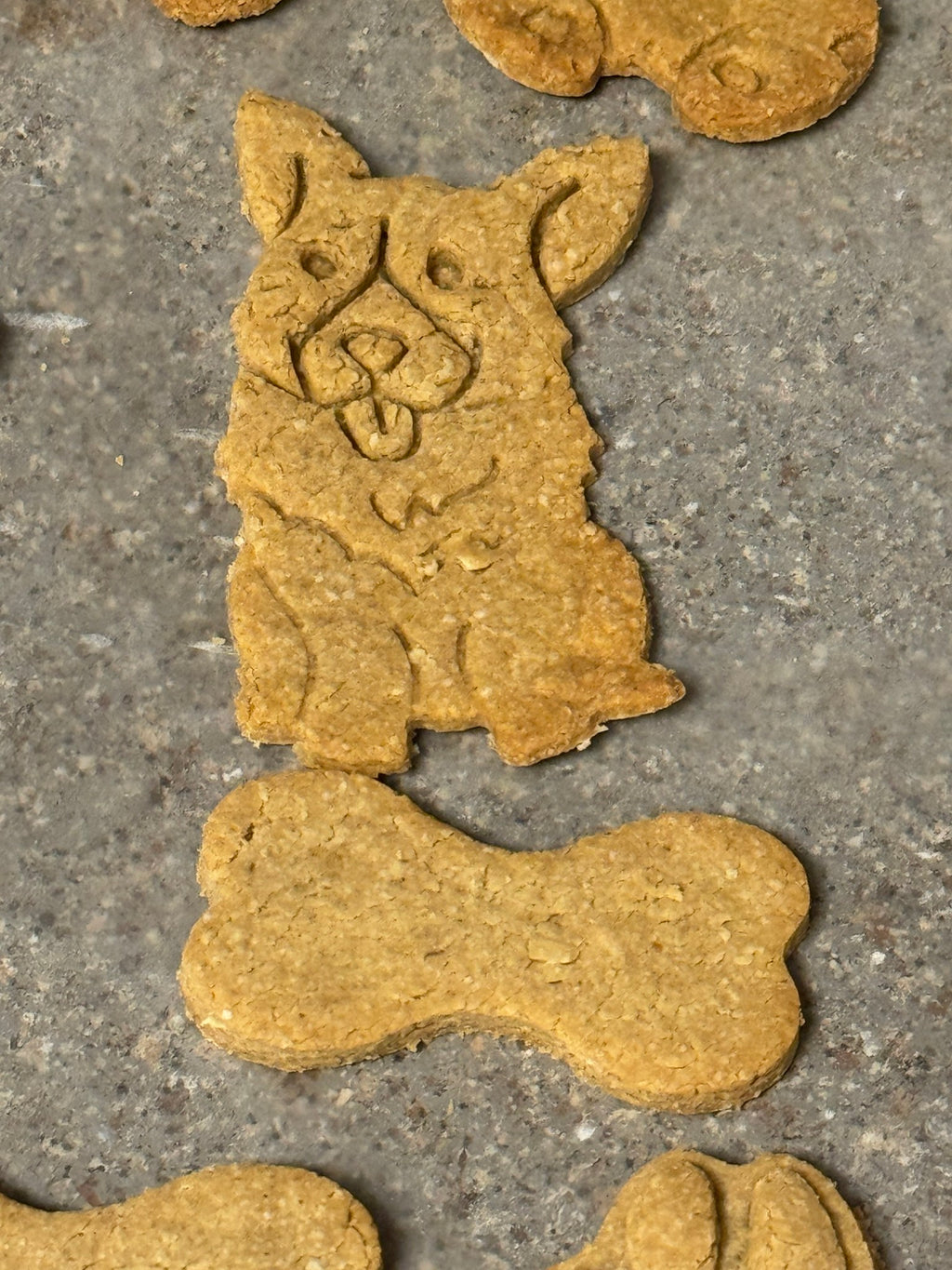 Homemade Natural Dog Cookies & Biscuits