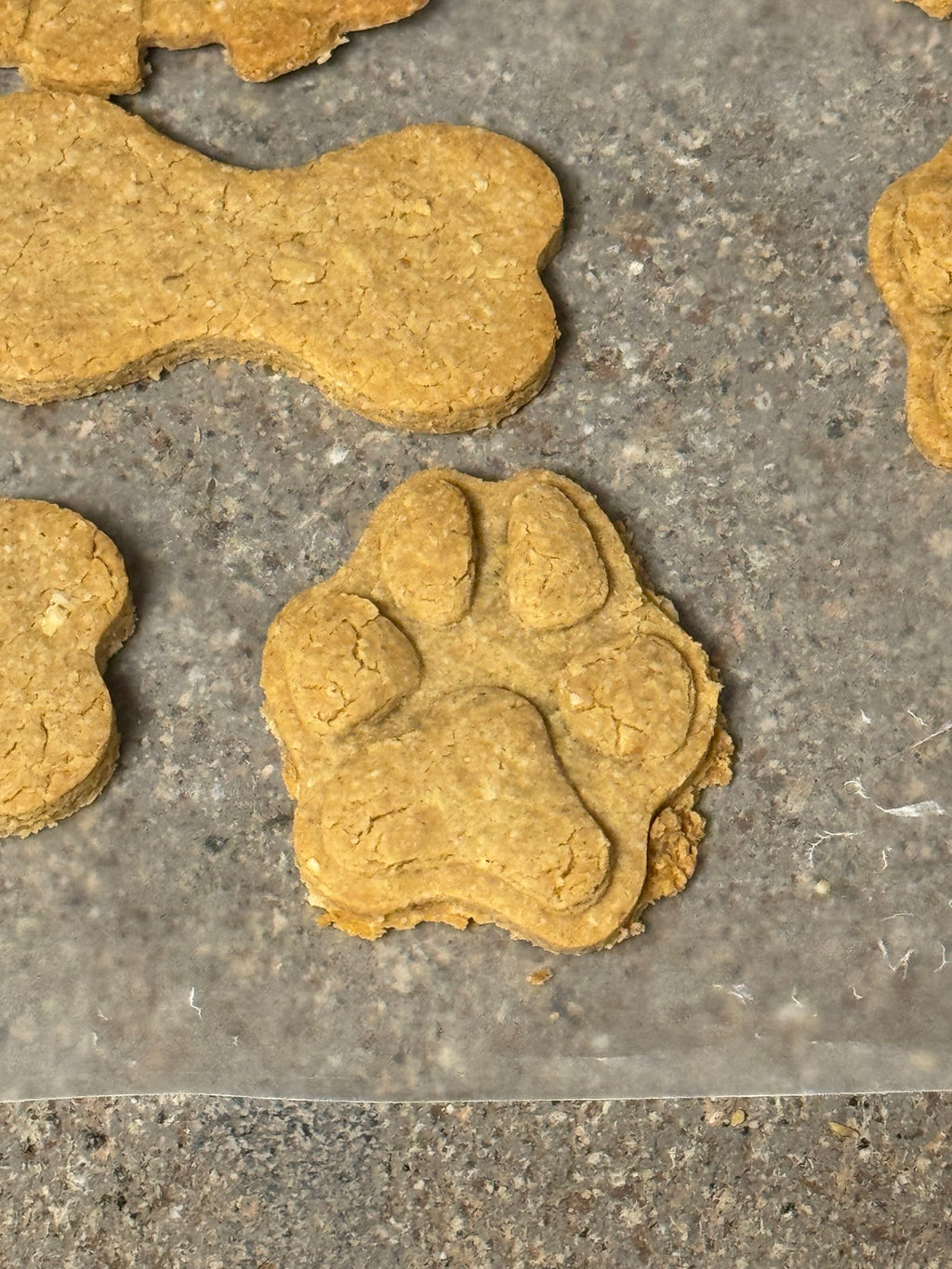 Homemade Natural Dog Cookies & Biscuits