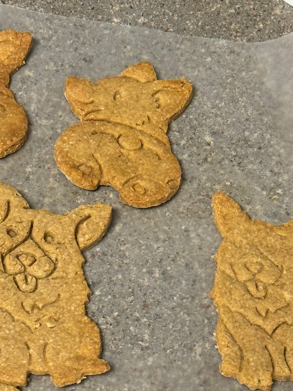 Homemade Natural Dog Cookies & Biscuits
