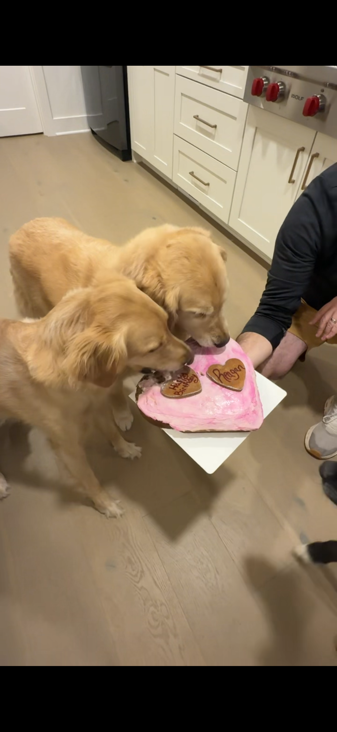 💗 Love Your Pup Heart Cake (Includes 2 Heart Cookie Toppers)