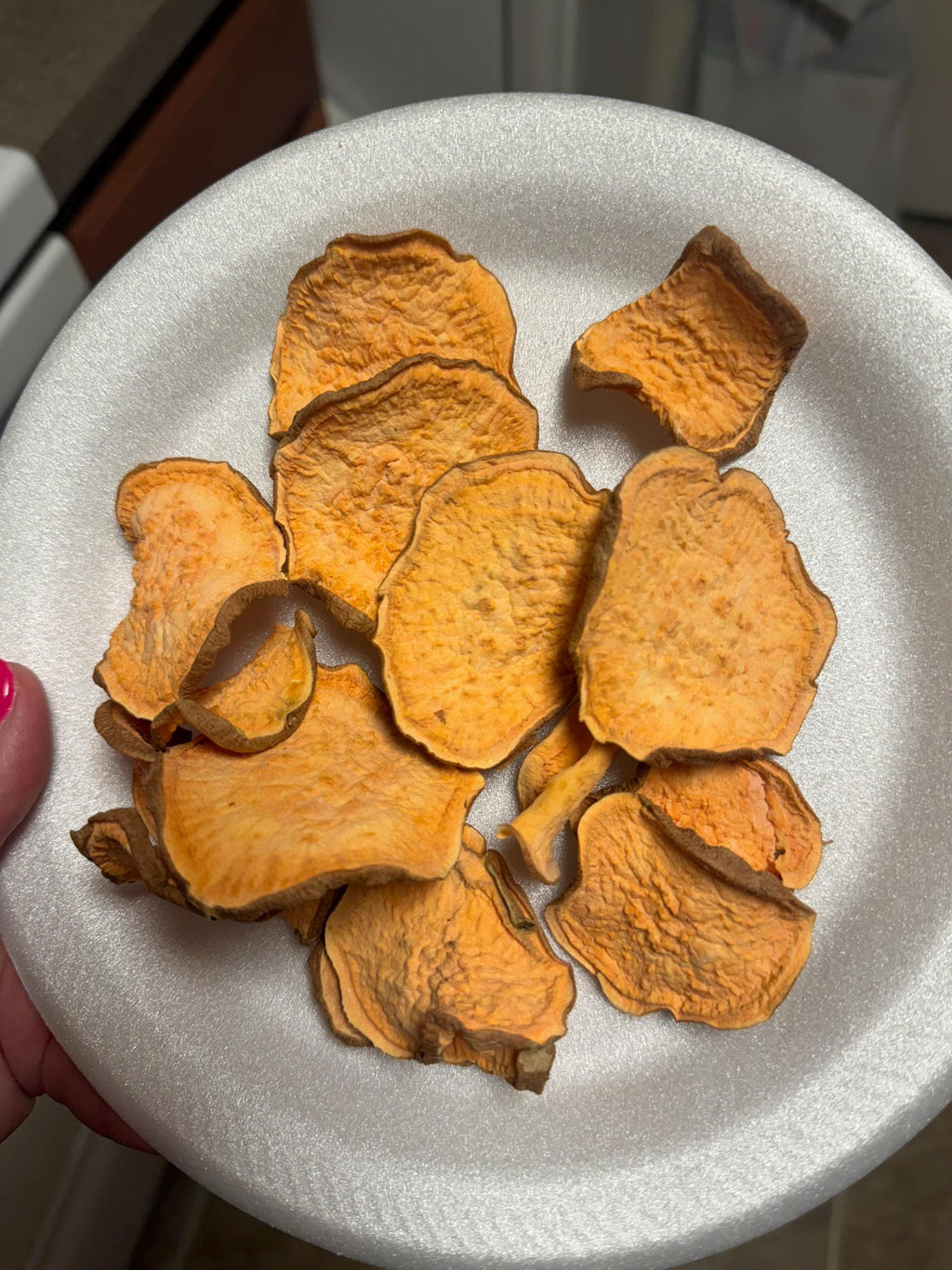 Sweet Potato Chips for Dogs