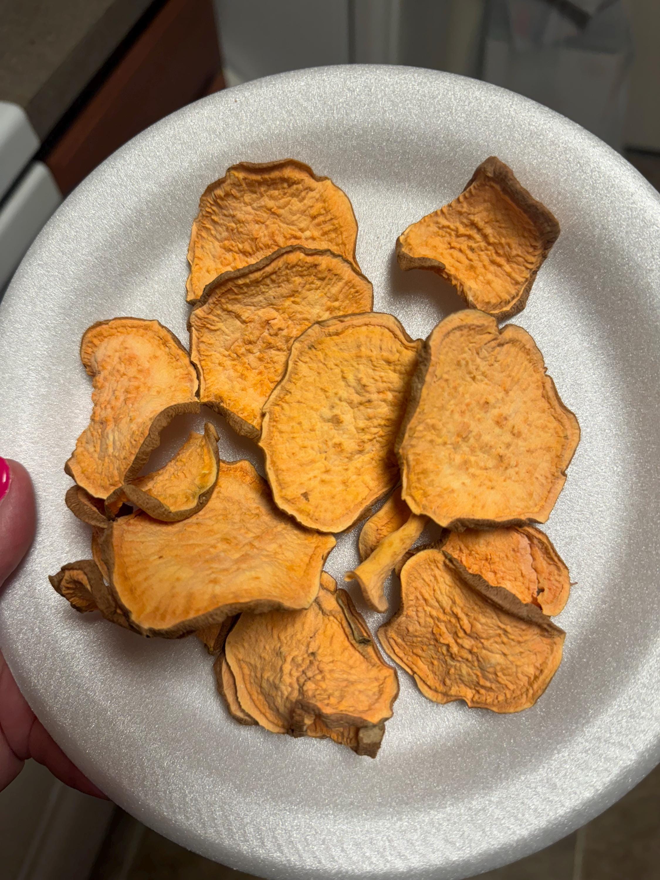 Sweet Potato Chips for Dogs